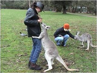 Cleland Conservation Park