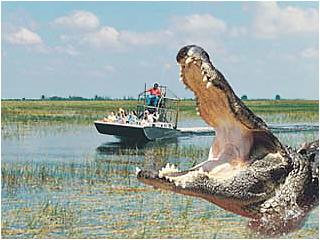 Airboat