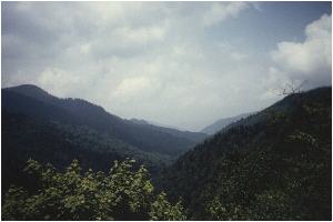 Great Smoky Mountains